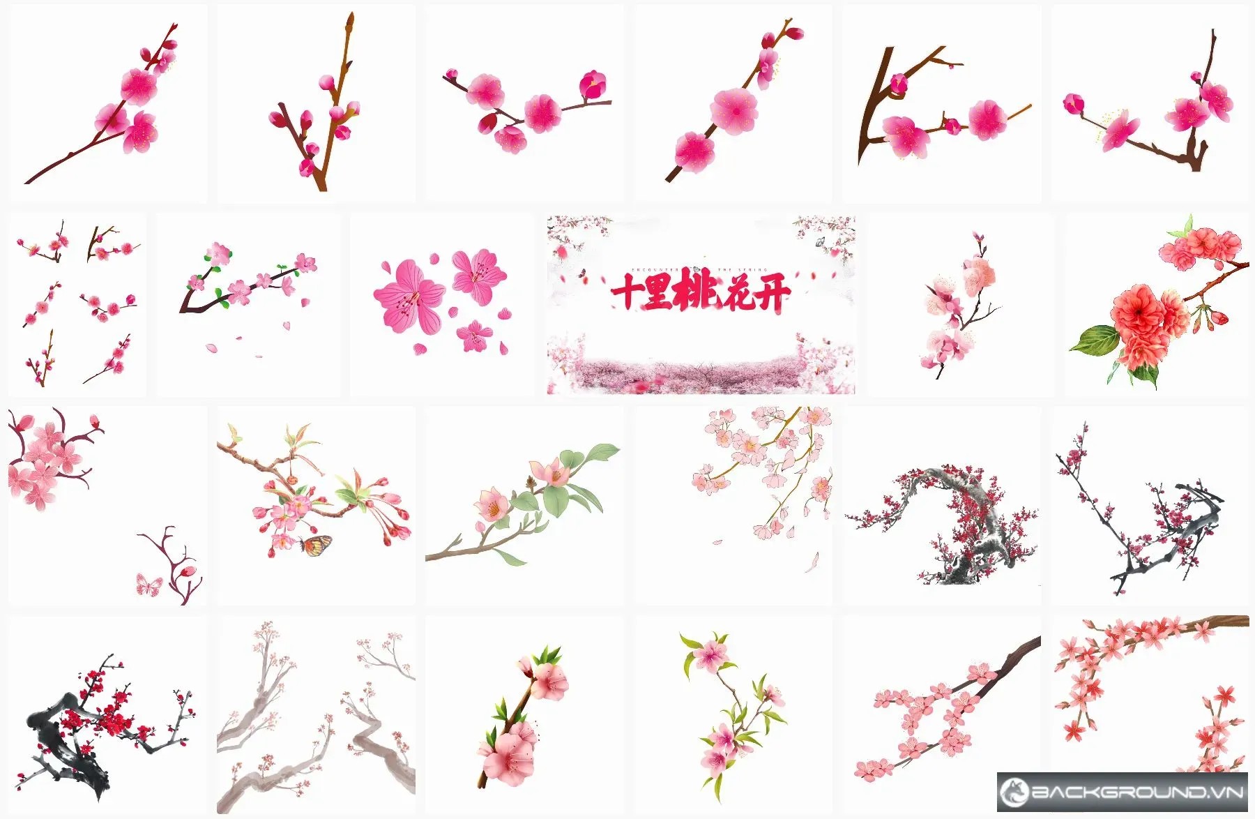 30+ Hoa đào PNG
