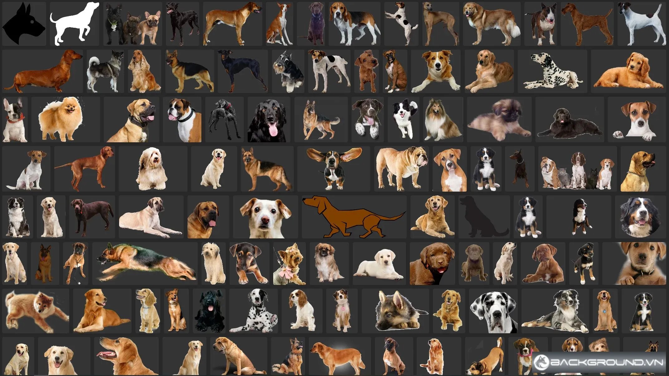 250+ Chó PNG