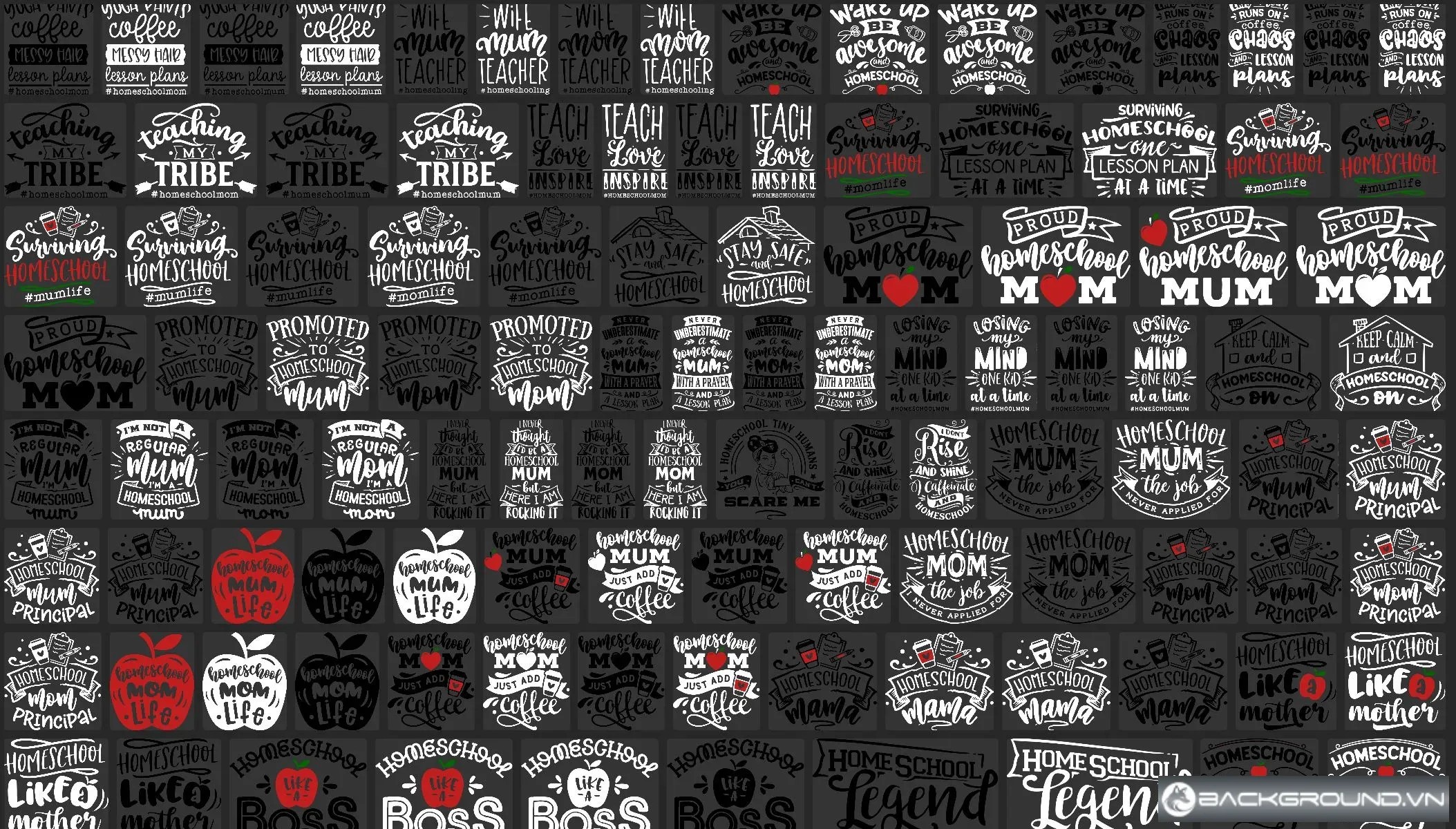 40+ T-shirt Homeschool