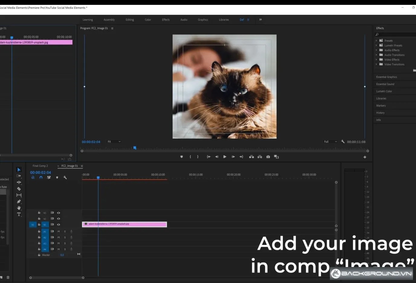 16+ YouTube Template Premiere Pro