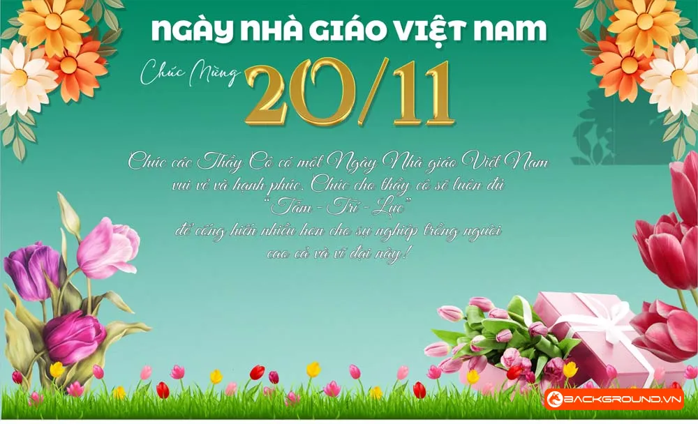 Phông nền background ngày Nhà Giáo Việt Nam 20-11 (17)