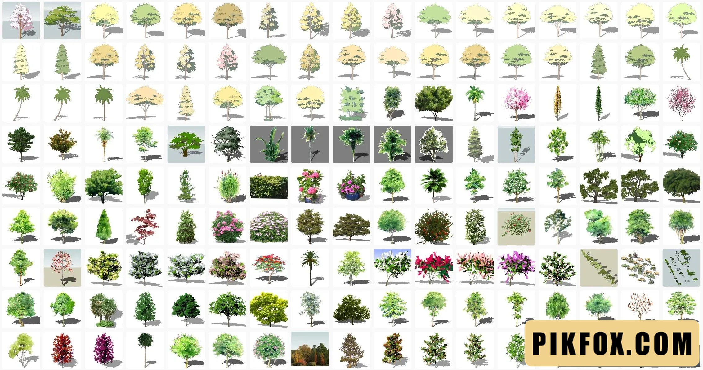 215+ Cây 2D Sketchup