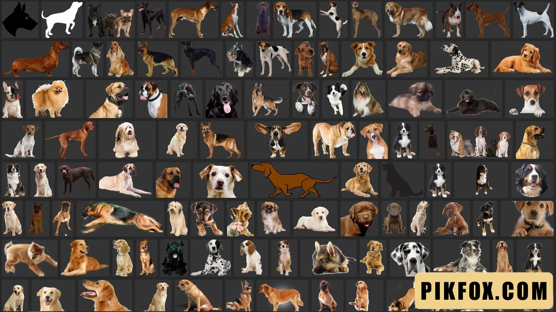250+ Chó PNG