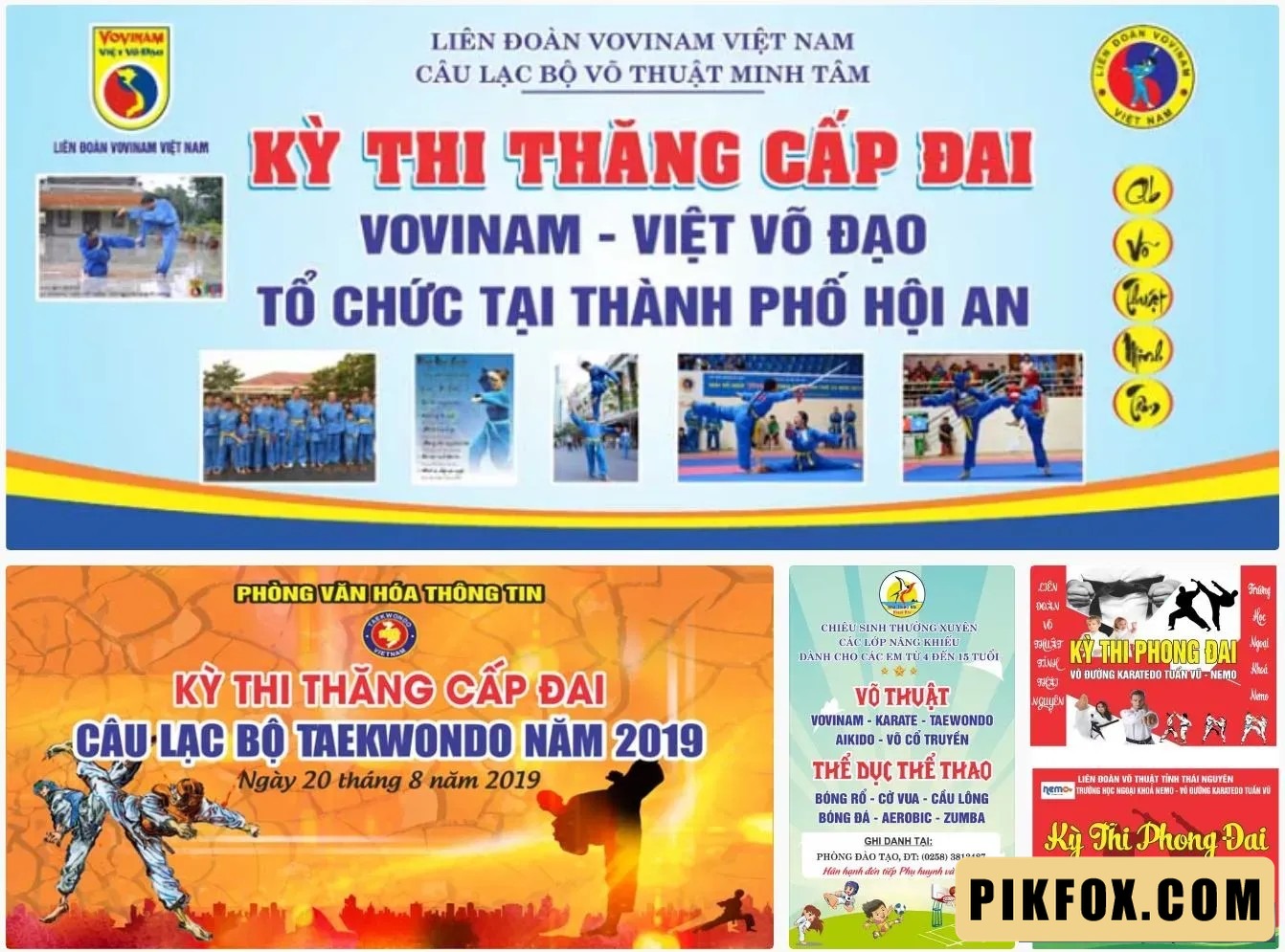 4+ Backdrop võ thuật