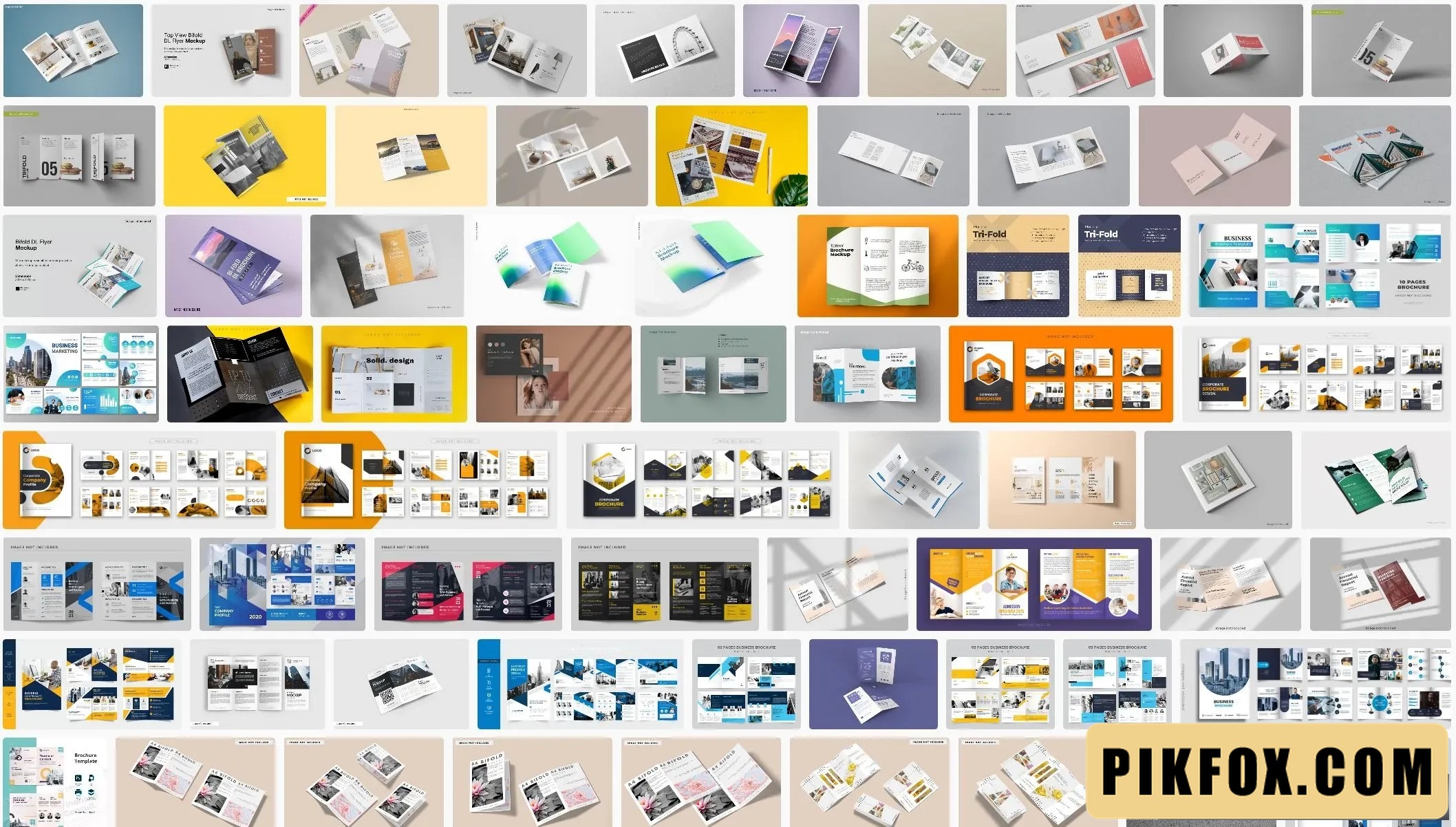 100+ Catalogue doanh nghiệp